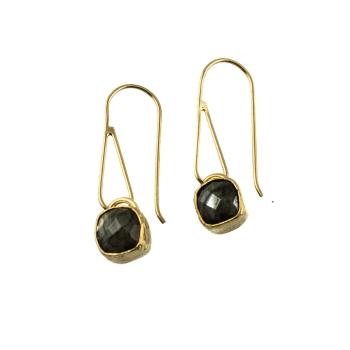 Fashionable earring made from brass, goldplated with Labradorite